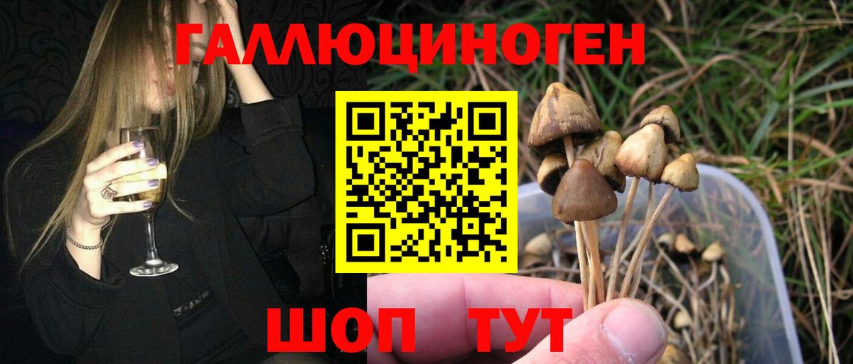 Псилоцибиновые грибы мицелий  Вход с VPN  Копейск  Псилоцибиновые грибы Psilocybe 